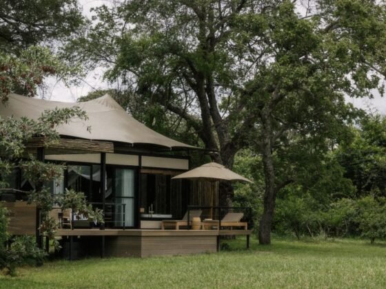 Batoka Africa Zambezi Sands holistic womens wellness retreat for burnout